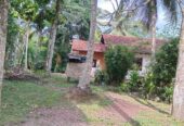 Land for Sale in Minuwangoda.