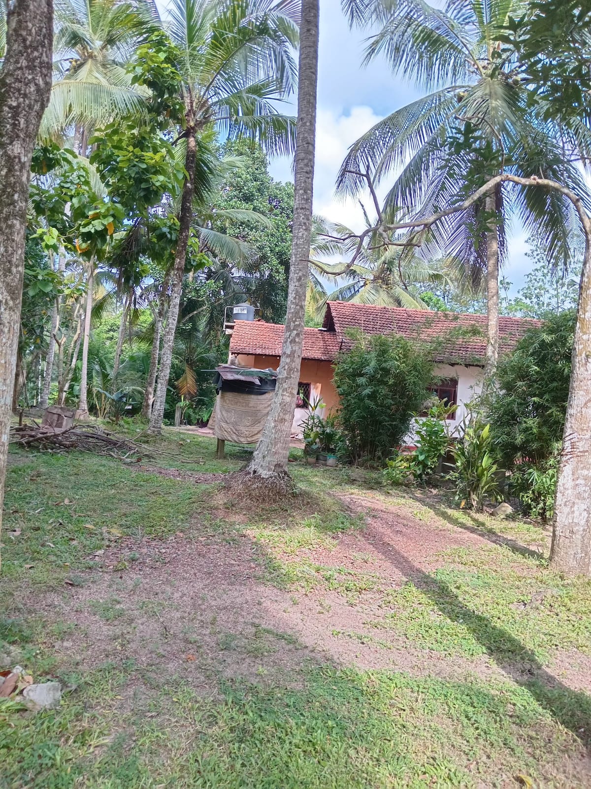 Land for Sale in Minuwangoda.