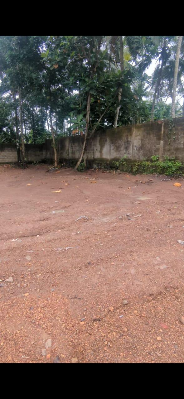 Land For Sale – Polgasowita