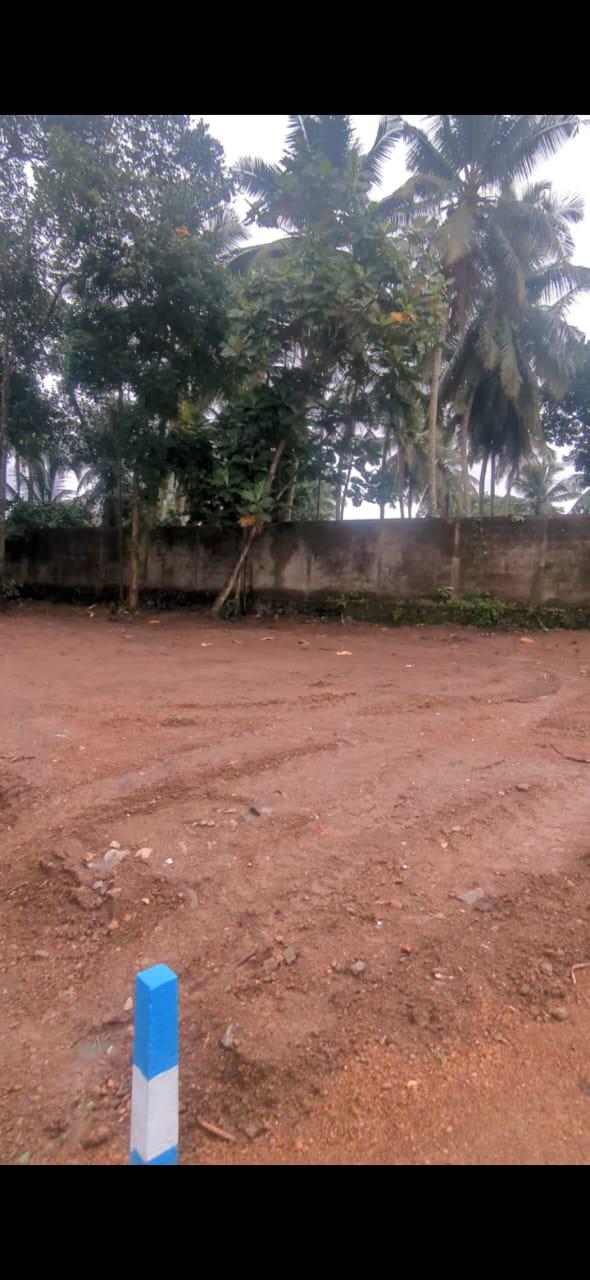 Land For Sale – Polgasowita