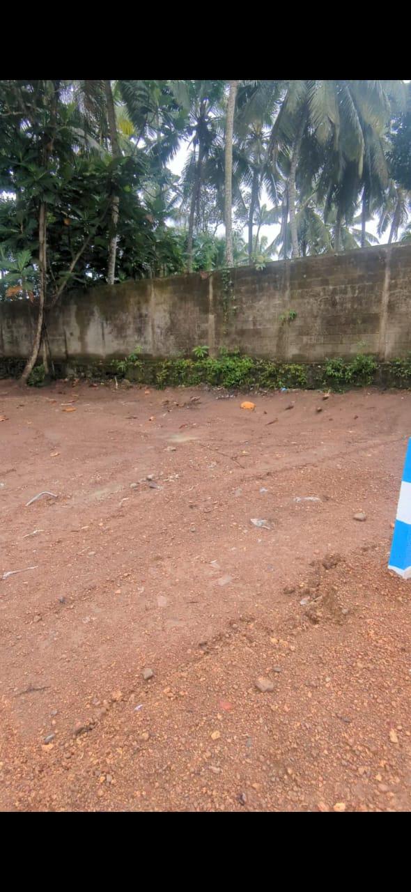 Land For Sale – Polgasowita