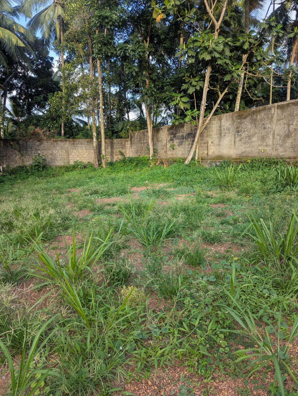 Land For Sale – Polgasowita
