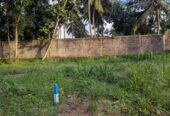 Land For Sale – Polgasowita