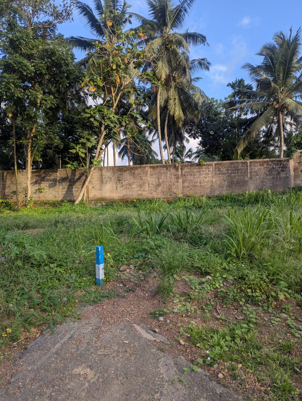Land For Sale – Polgasowita