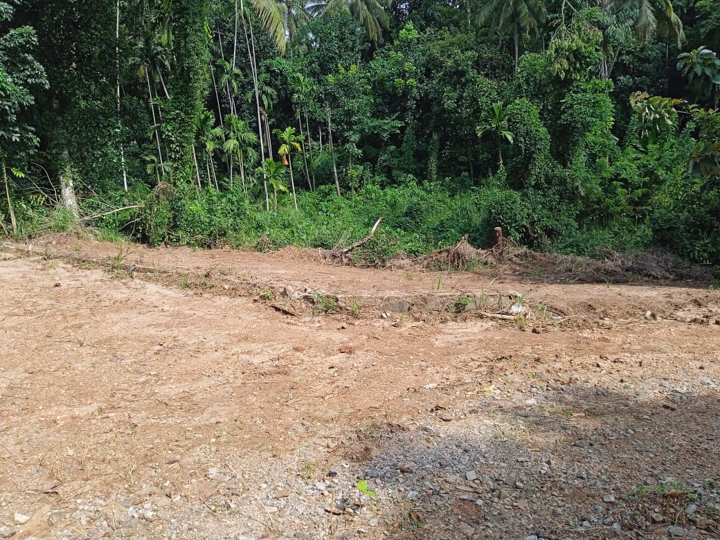 Land for Sale in pinnawala hadagama watta