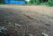 Land for Sale in pinnawala hadagama watta