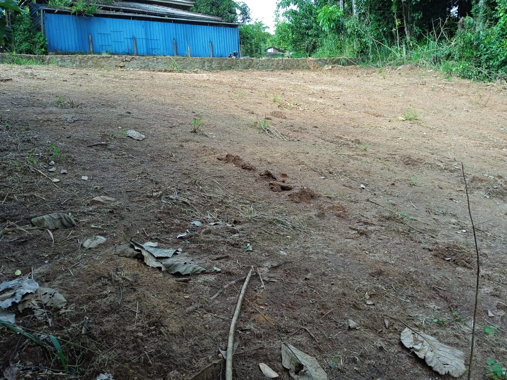 Land for Sale in pinnawala hadagama watta
