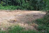 Land for Sale in pinnawala hadagama watta
