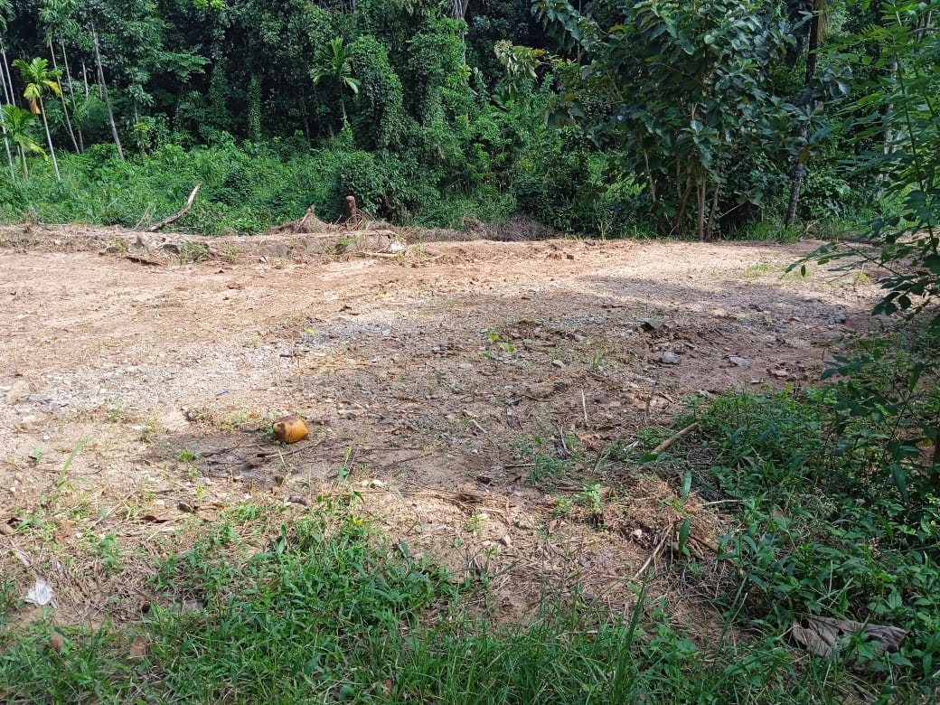 Land for Sale in pinnawala hadagama watta