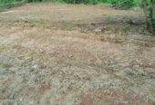Land for Sale in pinnawala hadagama watta