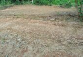 Land for Sale in pinnawala hadagama watta