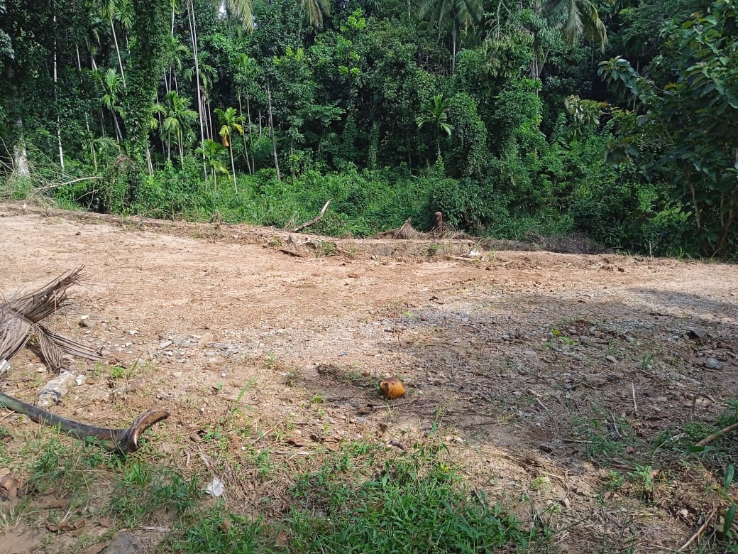Land for Sale in pinnawala hadagama watta