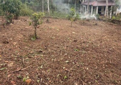 Land For Sale In Hapugala Batuwanthudawa Road