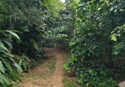 Land for Sale – Biyagama