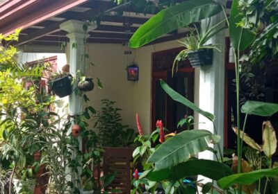 Perfectly Finished House for Sale in Weliweriya