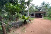 Land with House for Sale in Medawachchiya – Anuradhapura