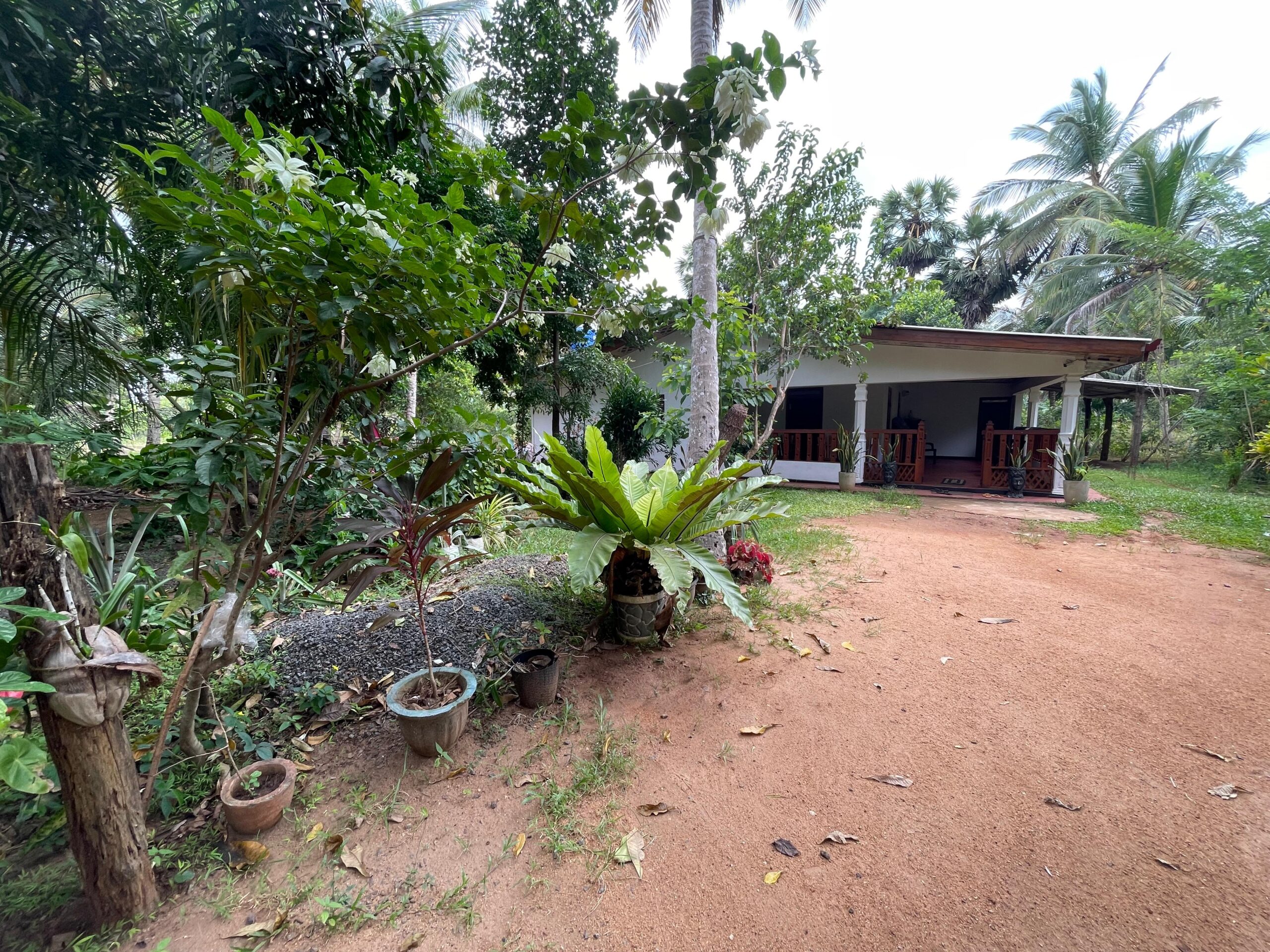 Land with House for Sale in Medawachchiya – Anuradhapura