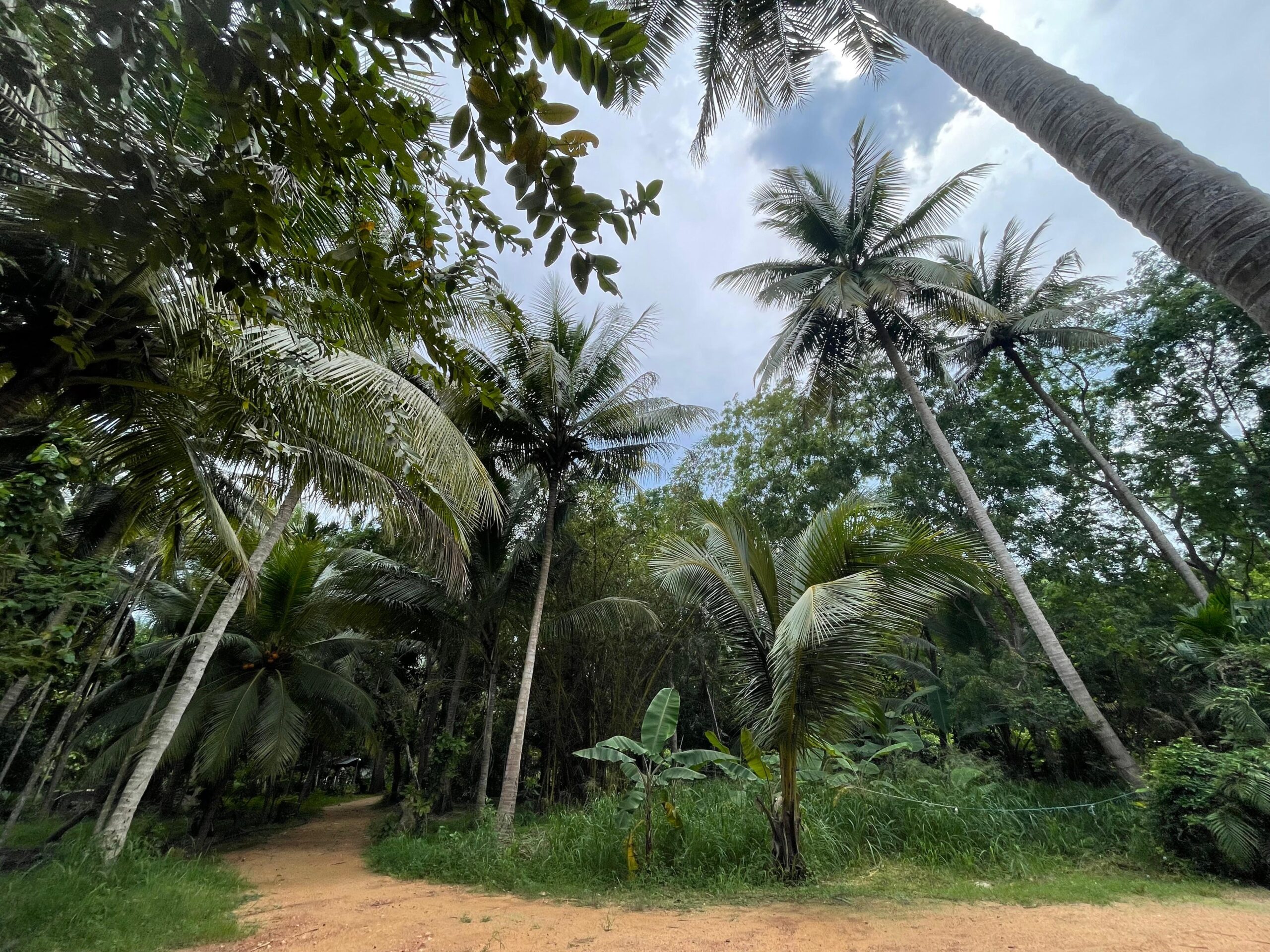 Land with House for Sale in Medawachchiya – Anuradhapura