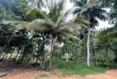 Land with House for Sale in Medawachchiya – Anuradhapura