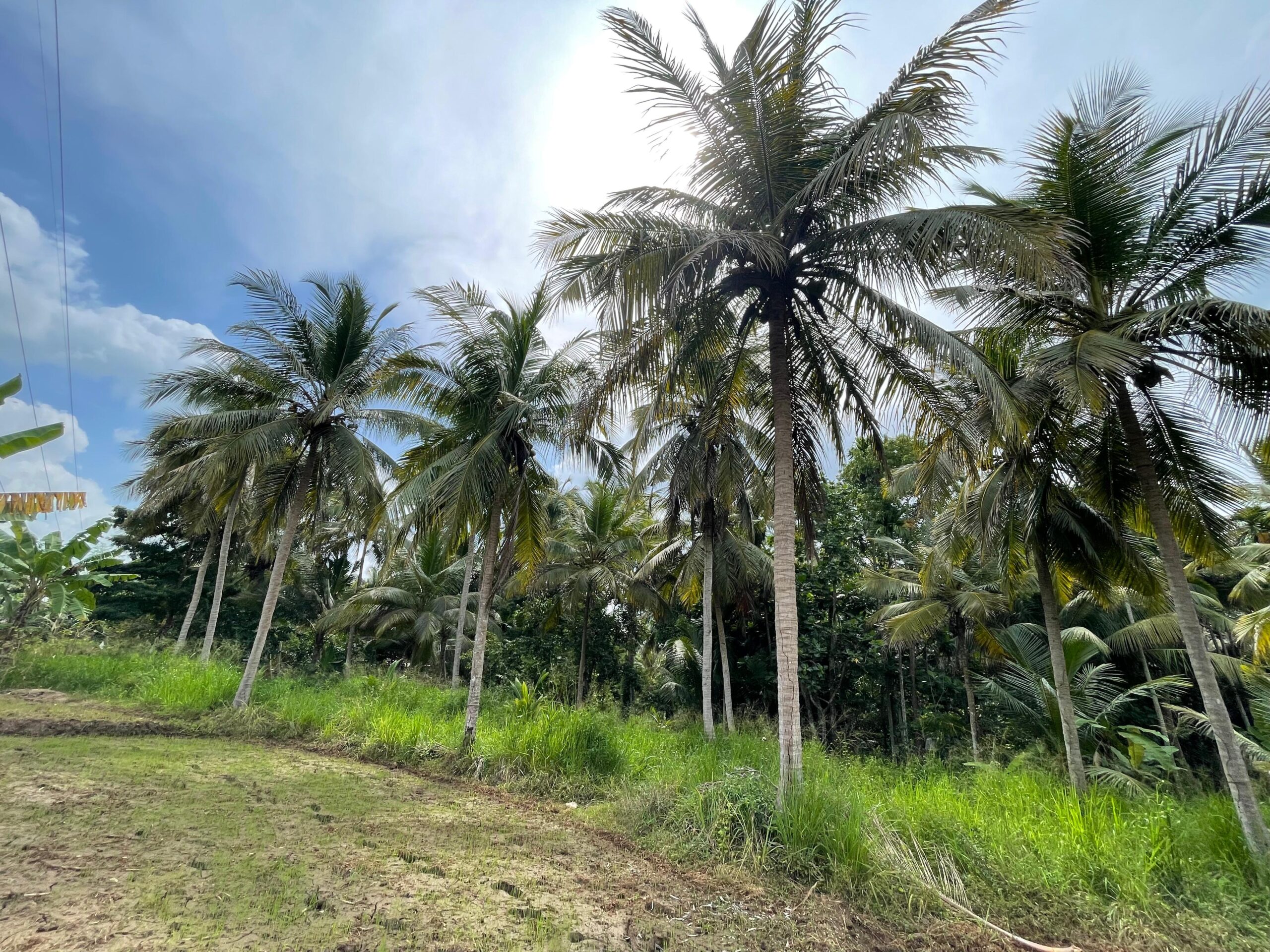 Land with House for Sale in Medawachchiya – Anuradhapura