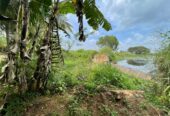 Land with House for Sale in Medawachchiya – Anuradhapura