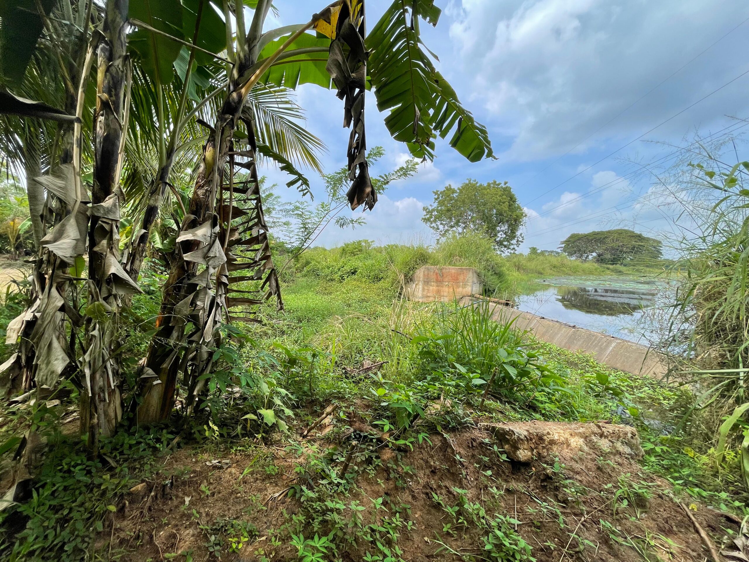 Land with House for Sale in Medawachchiya – Anuradhapura