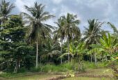 Land with House for Sale in Medawachchiya – Anuradhapura