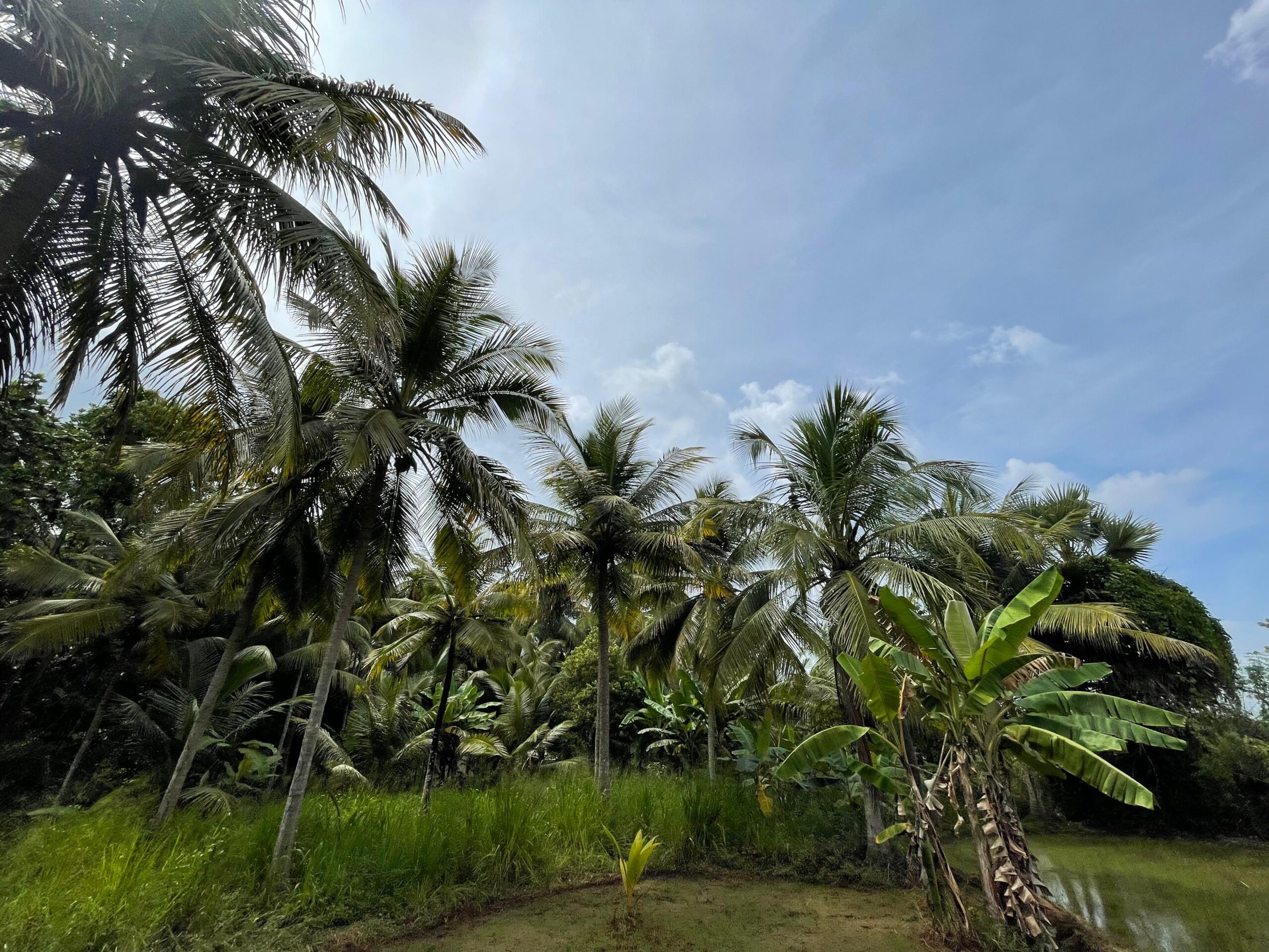 Land with House for Sale in Medawachchiya – Anuradhapura