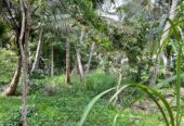 Land with House for Sale in Medawachchiya – Anuradhapura