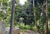 Land with House for Sale in Medawachchiya – Anuradhapura