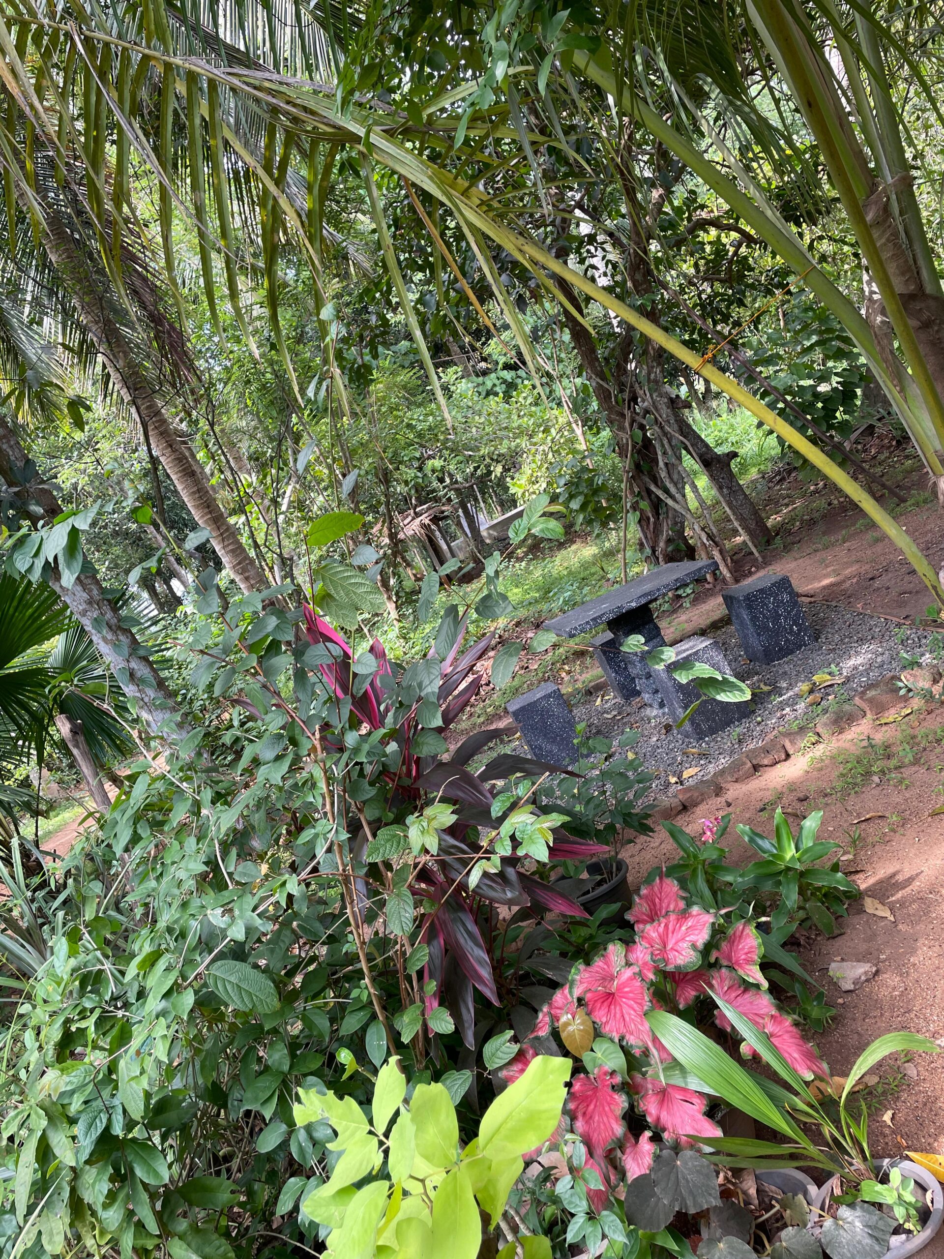 Land with House for Sale in Medawachchiya – Anuradhapura