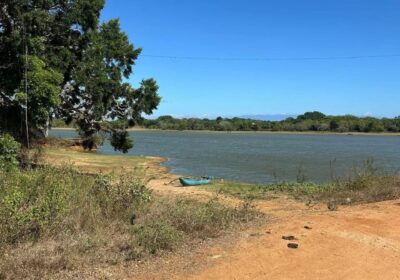 Land for Sale – 80 Perch Thanamalwila