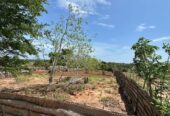 Land for Sale – 80 Perch Thanamalwila