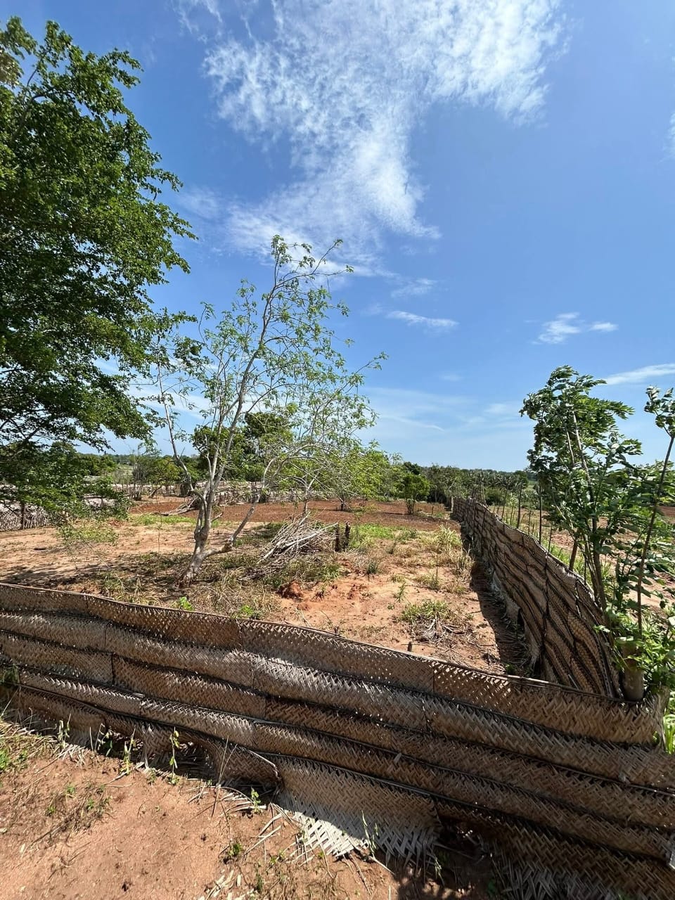 Land for Sale – 80 Perch Thanamalwila