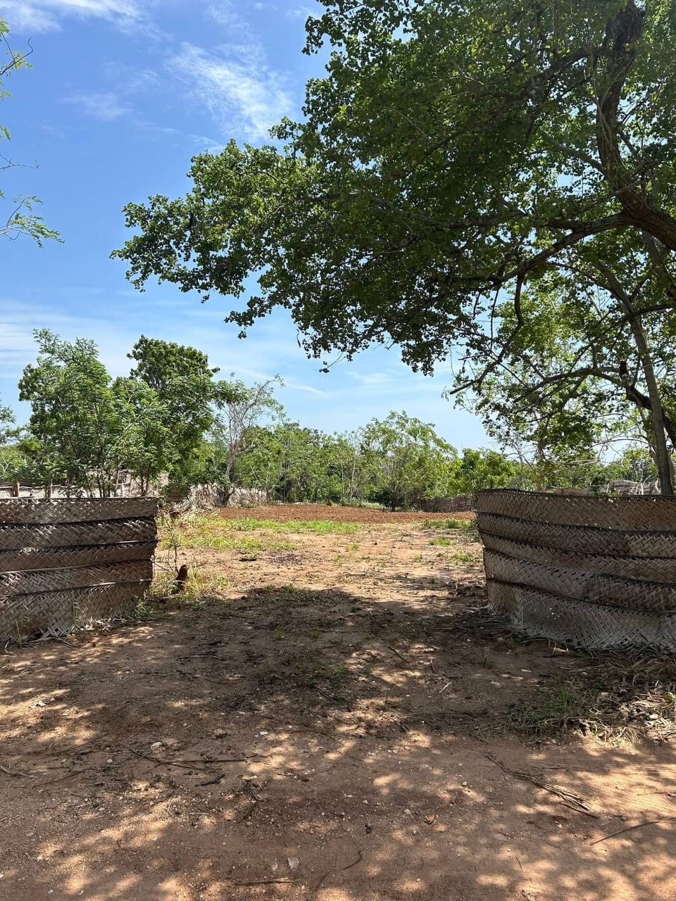 Land for Sale – 80 Perch Thanamalwila