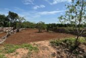 Land for Sale – 80 Perch Thanamalwila