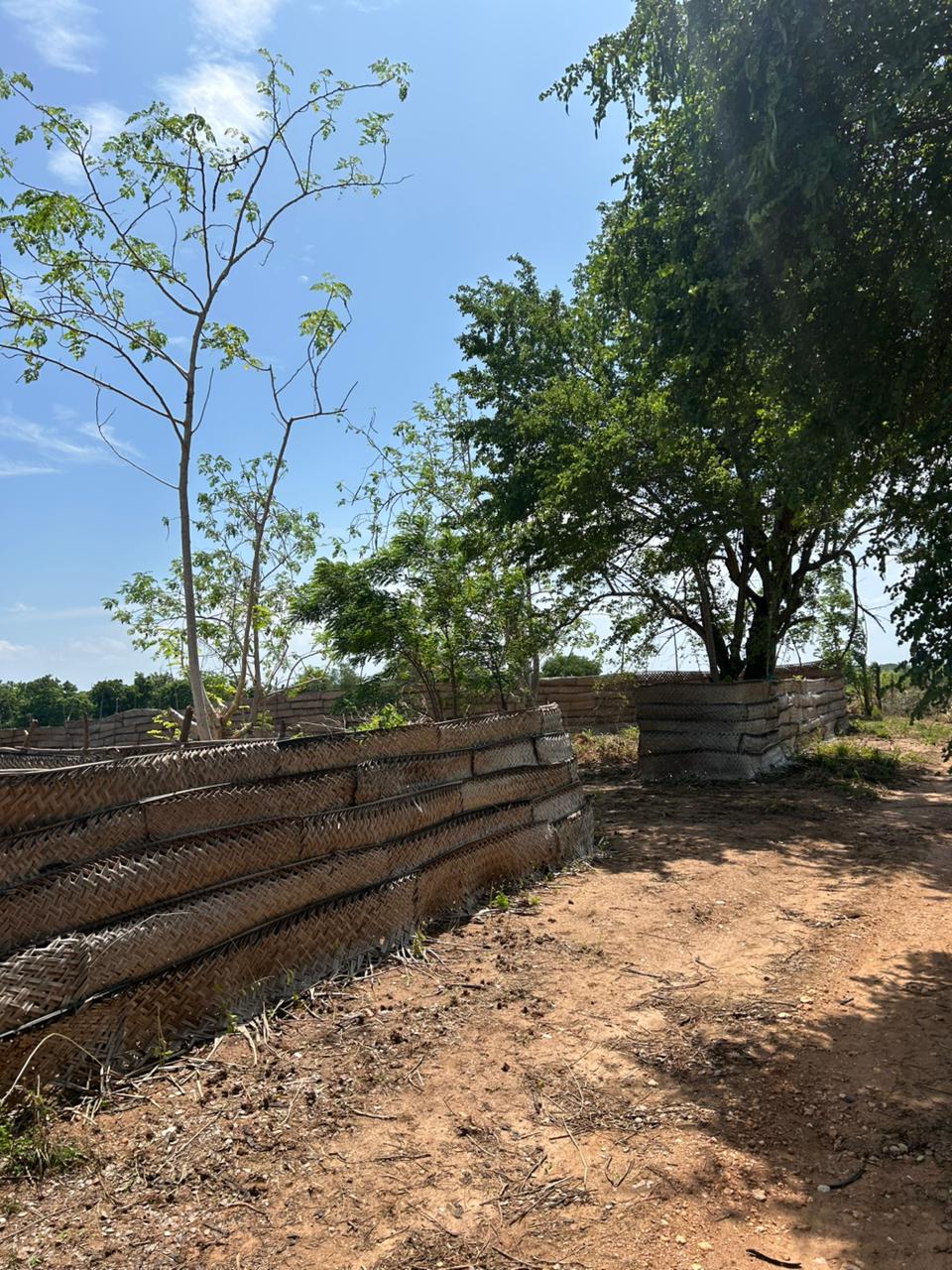 Land for Sale – 80 Perch Thanamalwila