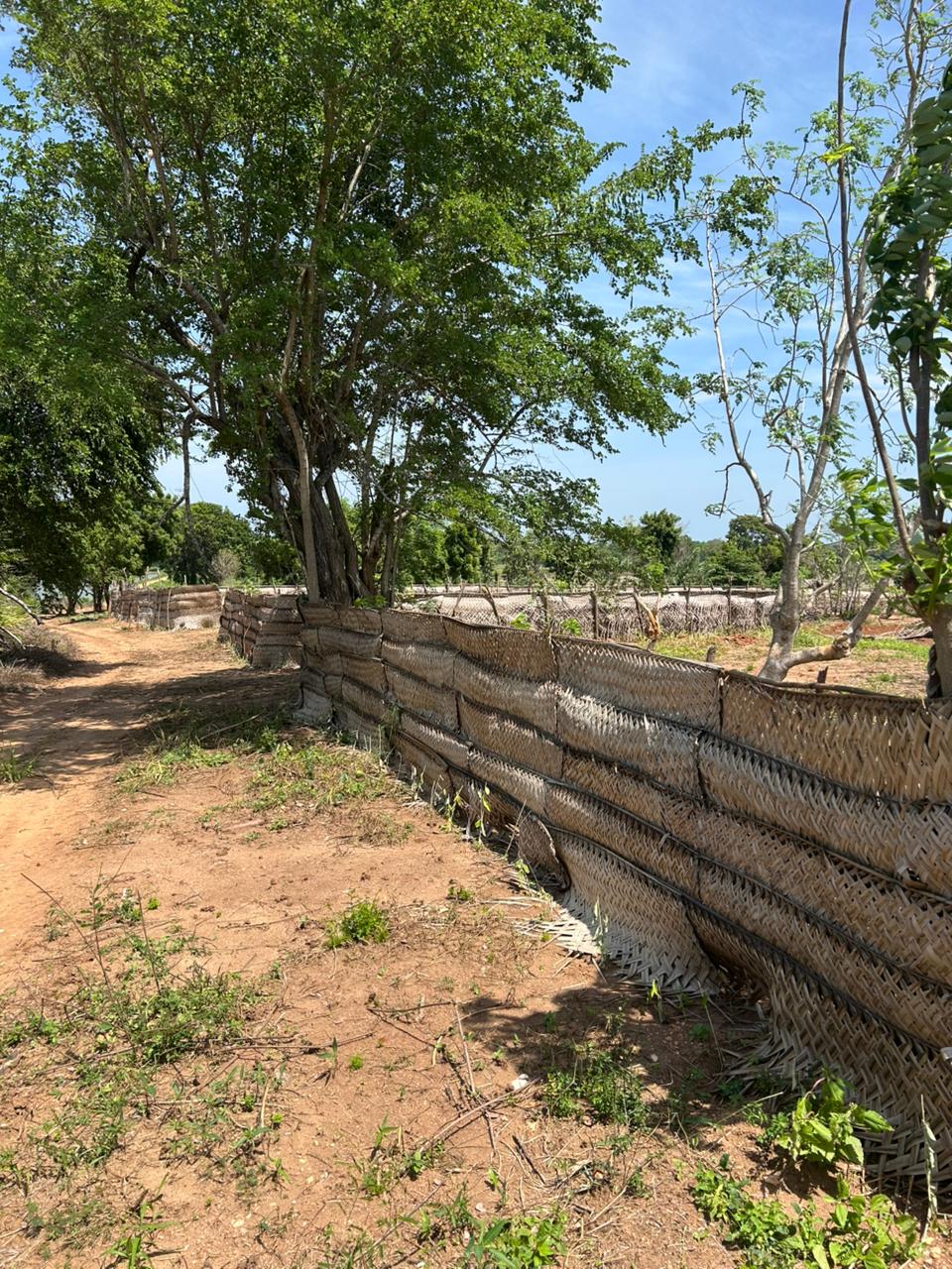 Land for Sale – 80 Perch Thanamalwila