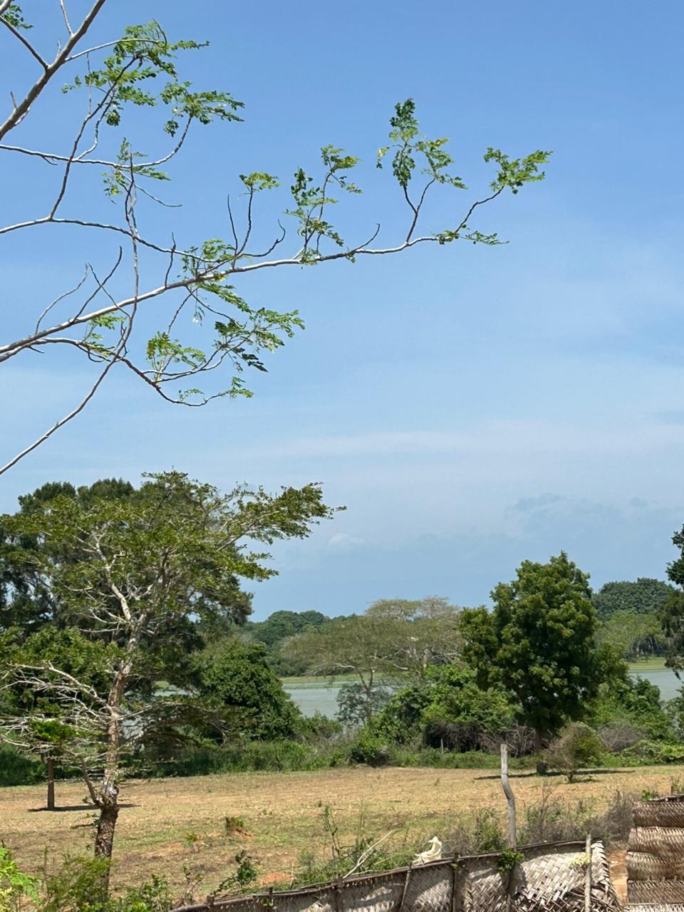 Land for Sale – 80 Perch Thanamalwila