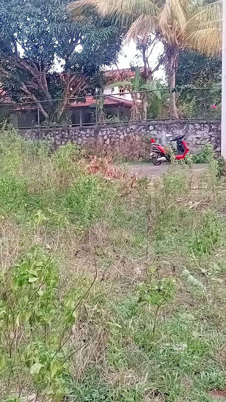 Land for Sale in Badigama