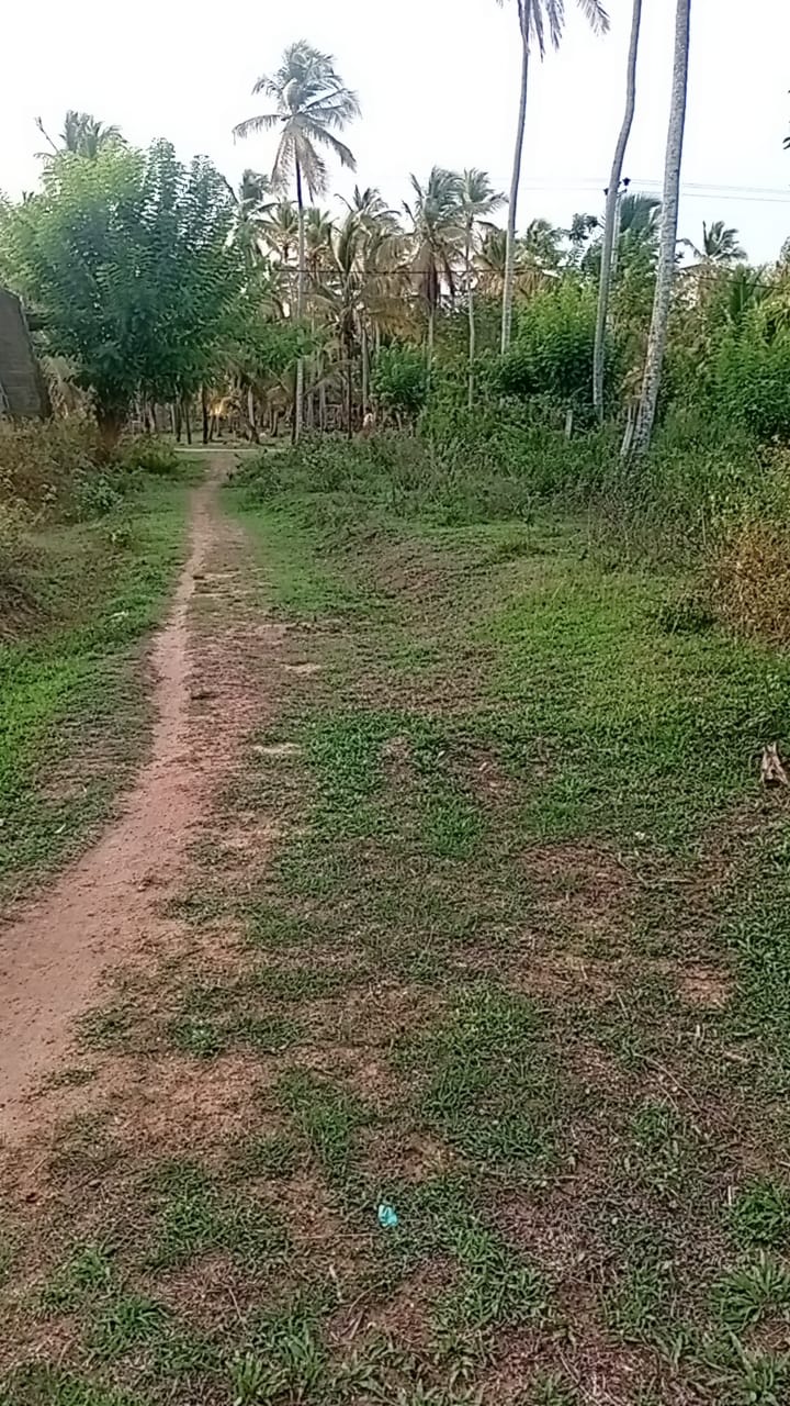 Land for Sale in Badigama