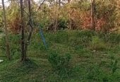 Land for Sale in Badigama