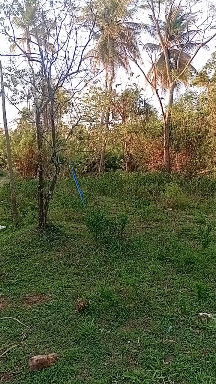 Land for Sale in Badigama