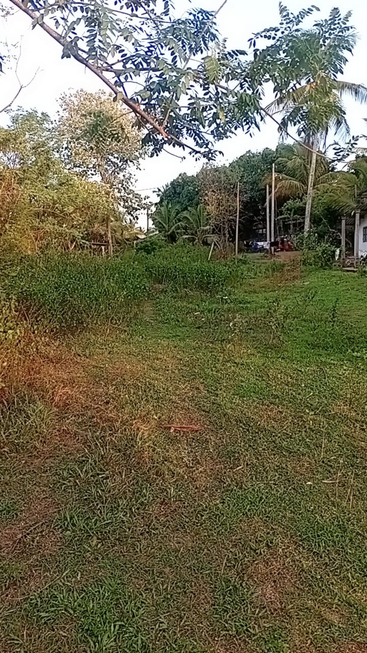 Land for Sale in Badigama