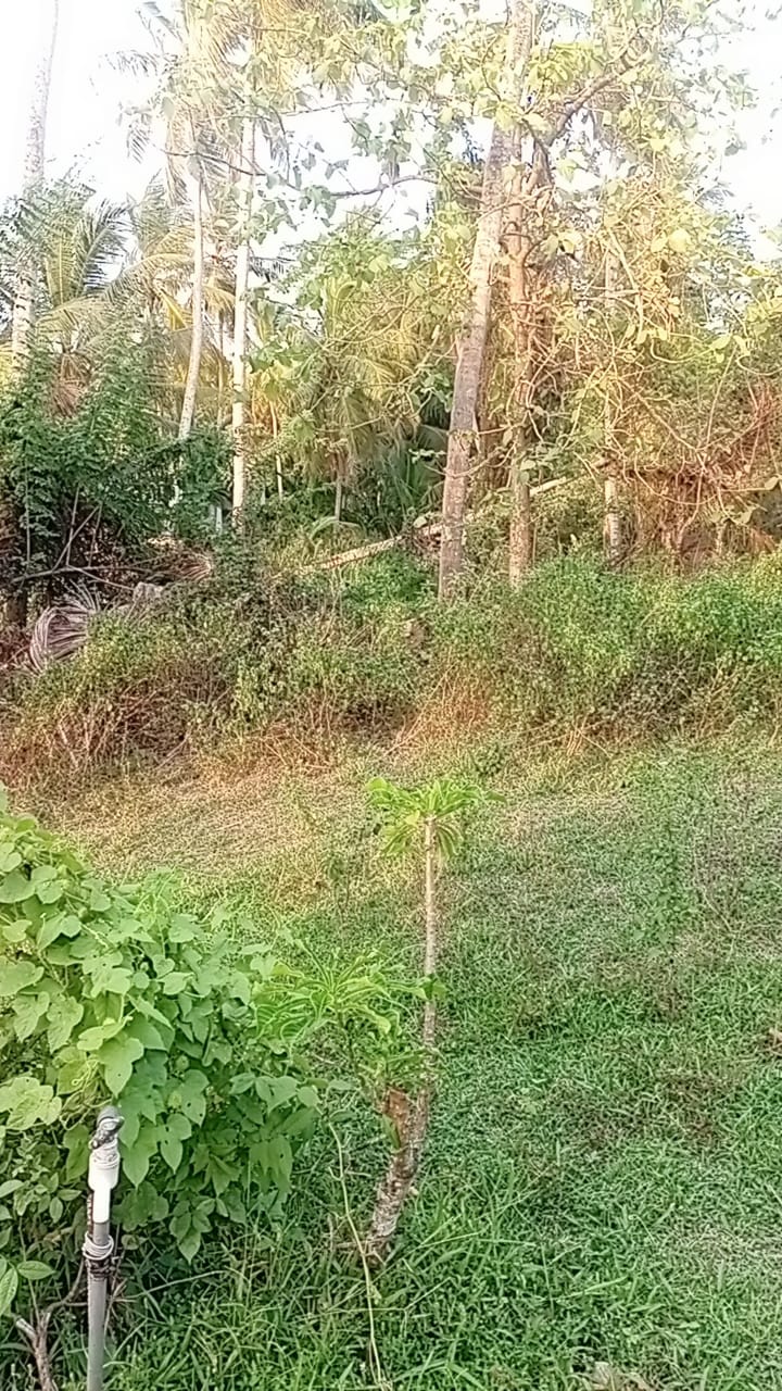 Land for Sale in Badigama