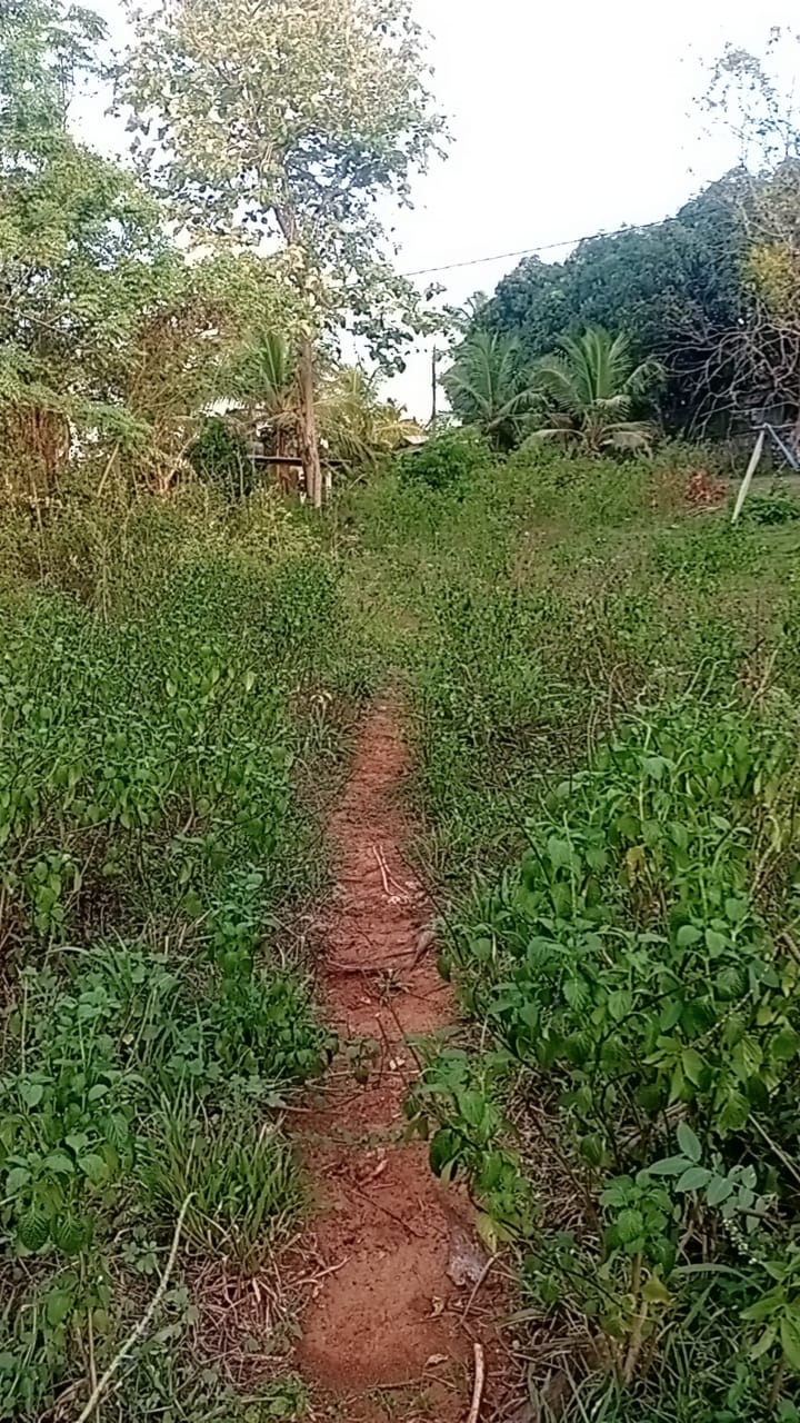 Land for Sale in Badigama