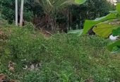 Land for Sale in Badigama