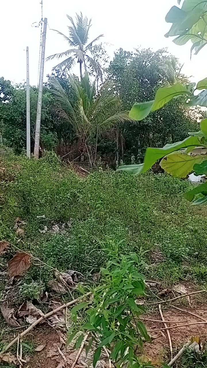 Land for Sale in Badigama