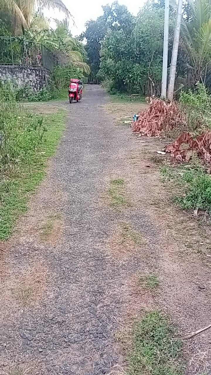 Land for Sale in Badigama