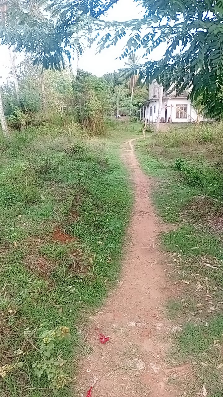 Land for Sale in Badigama